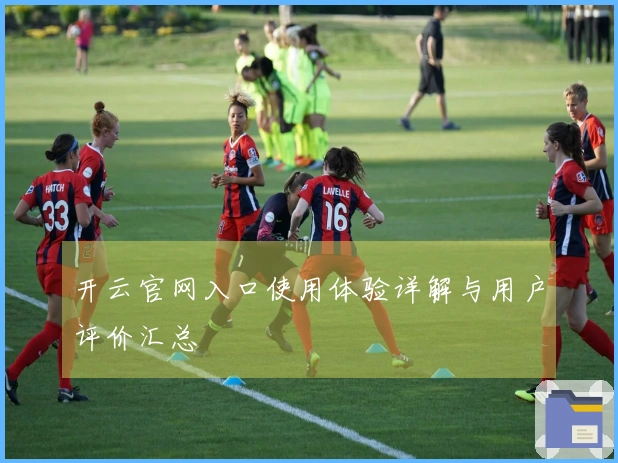 开云官网入口使用体验详解与用户评价汇总