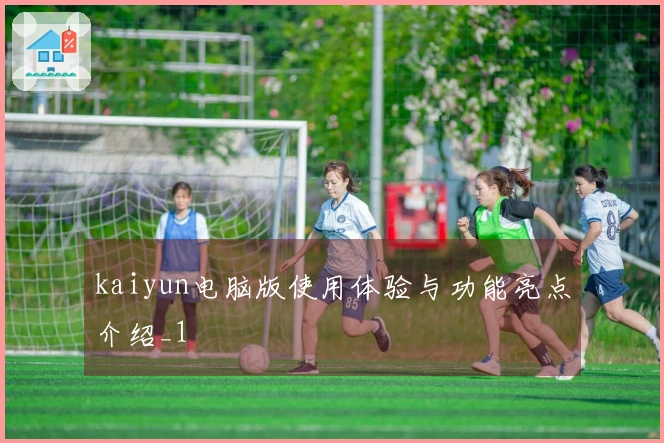 kaiyun电脑版使用体验与功能亮点介绍_1